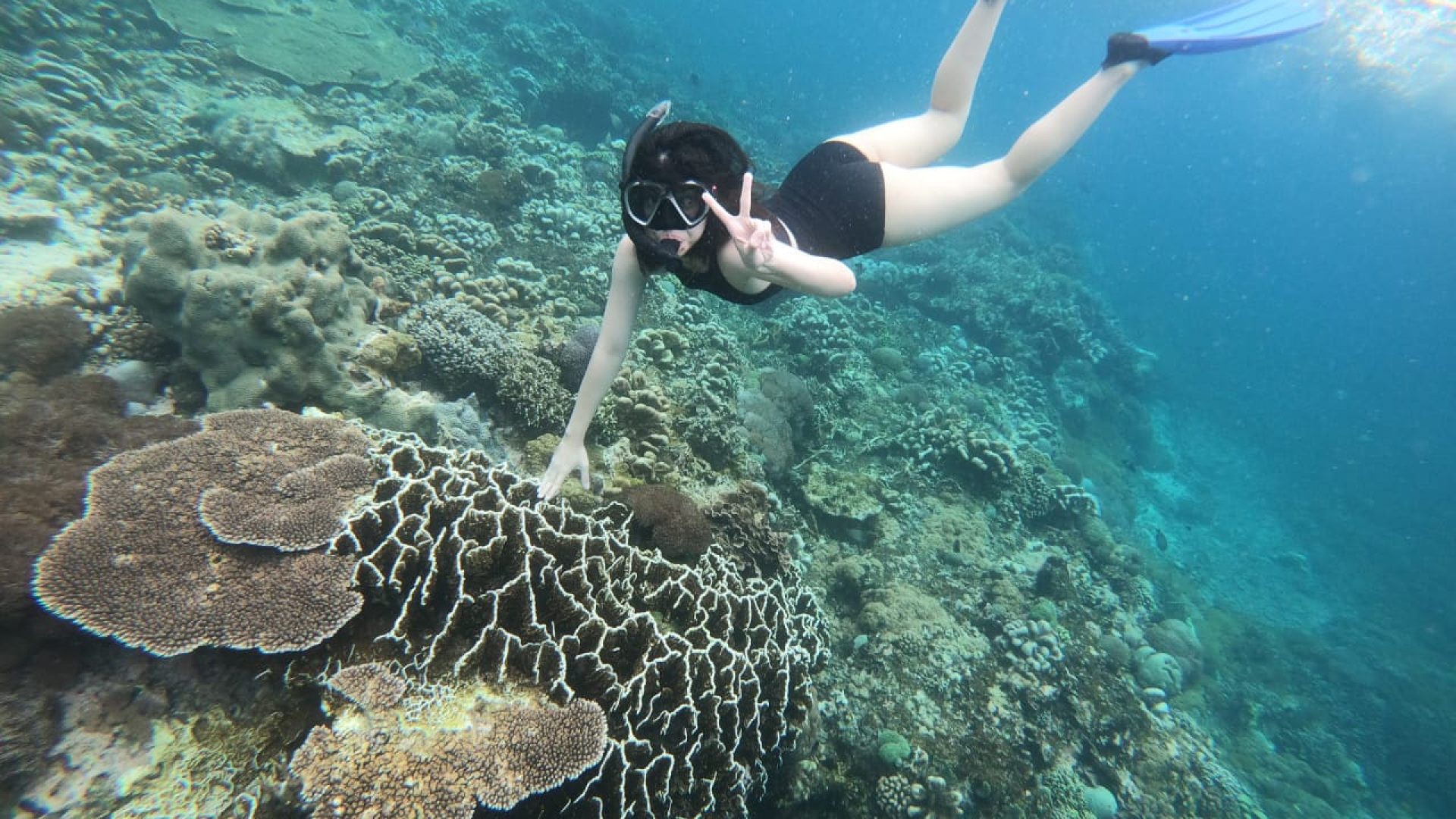 Snorkeling (2)