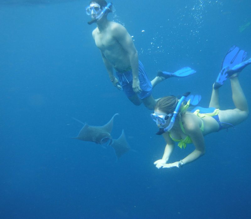 Snorkeling Nusa Penida